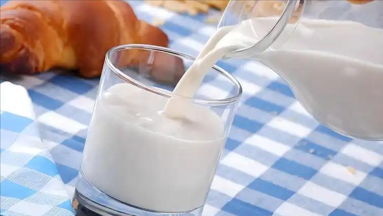 优质“蛋白质”排行榜！牛奶倒数第一，虾肉才排第5，建议了解